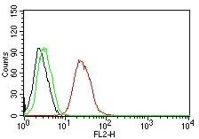 Flow Cytometry: ER beta/NR3A2 Antibody (ERb455) [NBP2-29439]