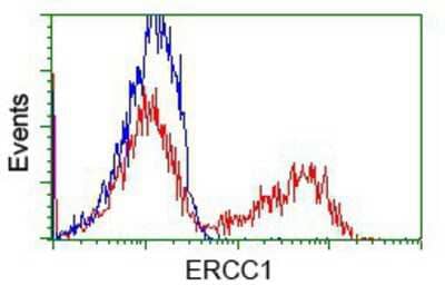 Flow Cytometry: ERCC1 Antibody (OTI1A3) [NBP1-47733]