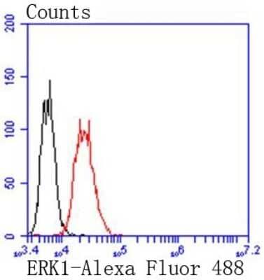 Flow Cytometry: ERK1/2 Antibody (SP05-09) [NBP2-67378]