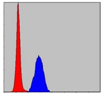 Flow Cytometry: ERK1 Antibody (1E5) - BSA Free [NBP2-22203]