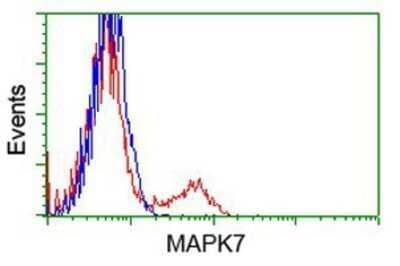 Flow Cytometry: ERK5/BMK1 Antibody (OTI3H2) - Azide and BSA Free [NBP2-71243]