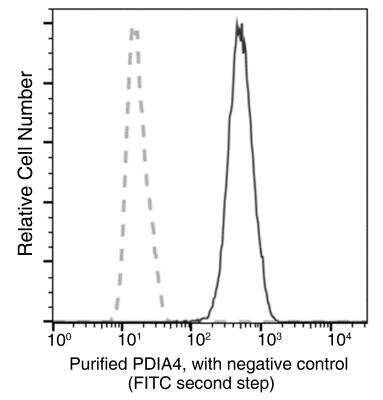 Flow Cytometry: ERp72 Antibody (020) [NBP2-90208]