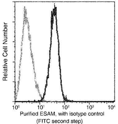 Flow Cytometry: ESAM Antibody (113) [NBP2-89321]