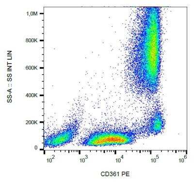 Flow (Cell Surface): EVI2B Antibody (MEM-216) [NBP2-62207]