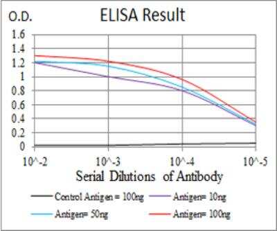 ELISA: EZH2/KMT6 Antibody (6G4F4) - BSA Free [NBP2-52463]
