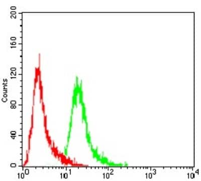 Flow Cytometry: EZH2/KMT6 Antibody (6G4F4) - BSA Free [NBP2-52463]