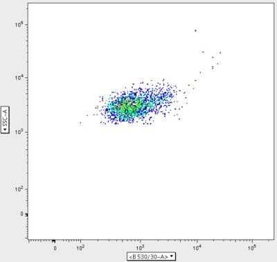 Flow Cytometry: Elastase Antibody (CELA3B/1811) - Azide and BSA Free [NBP2-54489]