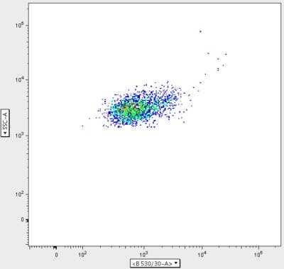 Flow Cytometry: Elastase Antibody (CELA3B/1811) [NBP2-53284]