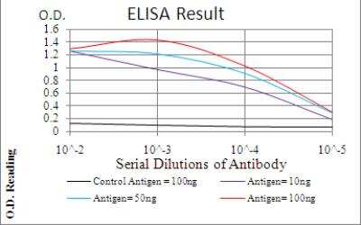 ELISA: Emerin Antibody (8F5A8) - BSA Free [NBP2-52459]
