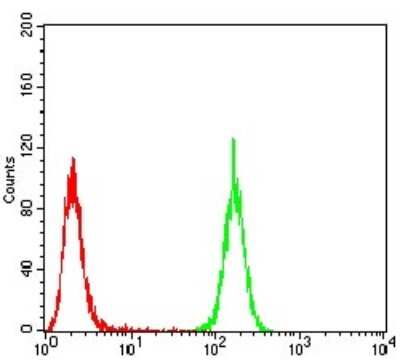 Flow Cytometry: Emerin Antibody (8F5A8) - BSA Free [NBP2-52459]
