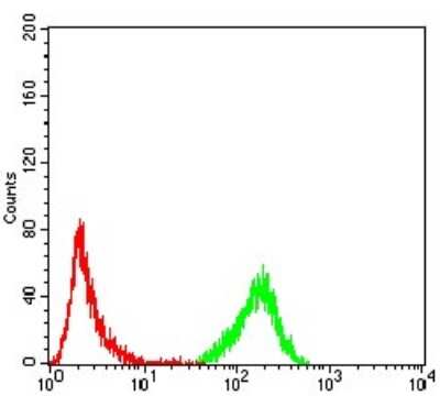 Flow Cytometry: Emerin Antibody (8F5A8) - BSA Free [NBP2-52459]