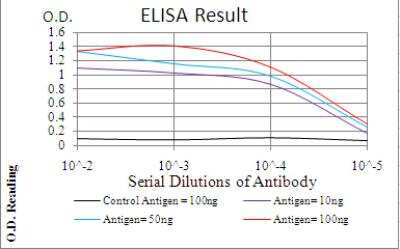 ELISA: Emerin Antibody (8F5G2) - BSA Free [NBP2-52460]