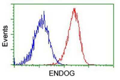 Flow Cytometry: Endo G Antibody (OTI5F1) [NBP2-01696]