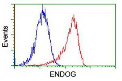 Flow Cytometry: Endo G Antibody (OTI5F1) [NBP2-01696]