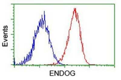 Flow Cytometry: Endo G Antibody (OTI5F1) - Azide and BSA Free [NBP2-70645]