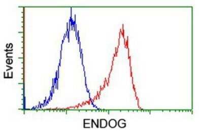 Flow Cytometry: Endo G Antibody (OTI5F1) - Azide and BSA Free [NBP2-70645]