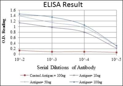 ELISA: Endoglin/CD105 Antibody (3A9) - Azide and BSA Free [NBP2-80719]