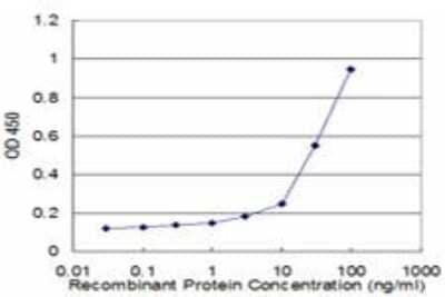 ELISA: Endophilin A1/SH3GL2 Antibody (2G6) [H00006456-M06]