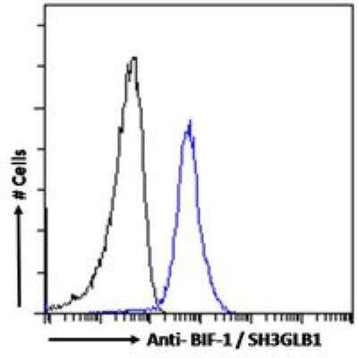 Flow Cytometry: Endophilin B1/Bif-1 Antibody [NB100-820]