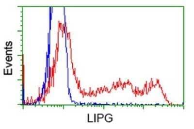 Flow Cytometry: Endothelial Lipase Antibody (OTI1D9) - Azide and BSA Free [NBP2-71309]