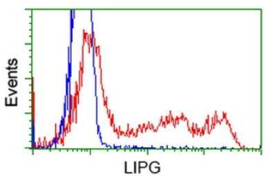 Flow Cytometry: Endothelial Lipase Antibody (OTI1D9) [NBP2-02396]