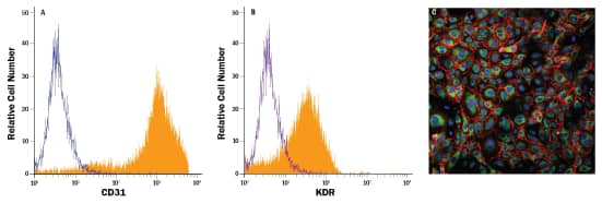 Endothelial Cell Growth Media (CCM027) by R&D Systems, Part