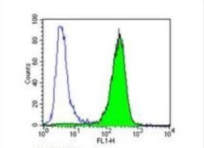 Flow Cytometry: Endothelin-1 Antibody (TR.ET.48.5) - BSA Free [NB300-526]