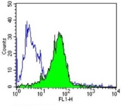 Flow Cytometry: Endothelin-1 Antibody (TR.ET.48.5) - BSA Free [NB300-526]