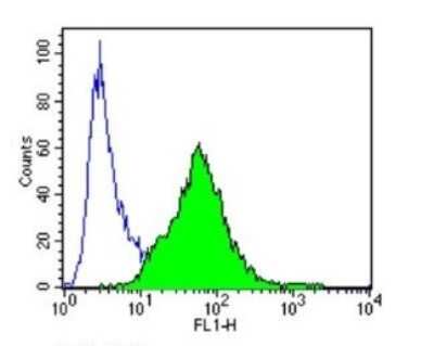 Flow Cytometry: Endothelin-1 Antibody (TR.ET.48.5) - BSA Free [NB300-526]