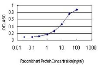 ELISA: Endothelin-3 Antibody (2A6-2A4) [H00001908-M01]
