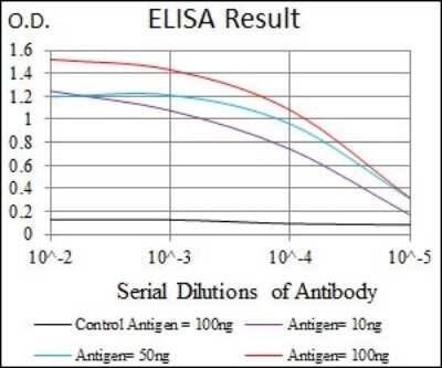 ELISA: Enolase 2/Neuron-specific Enolase Antibody (5D3) - BSA Free [NBP2-37465]