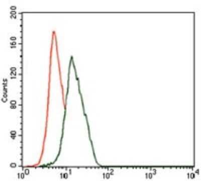 Flow Cytometry: Enolase 2/Neuron-specific Enolase Antibody (5D3) - BSA Free [NBP2-37465]