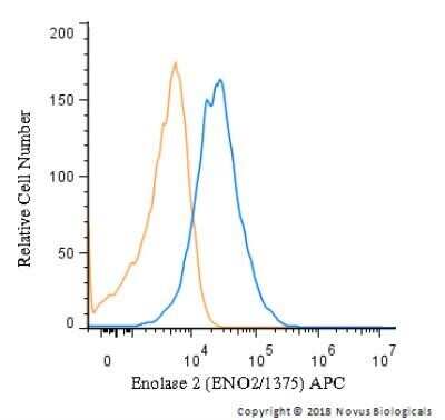Flow (Intracellular): Enolase 2/Neuron-specific Enolase Antibody (ENO2/1375) [NBP2-47635]