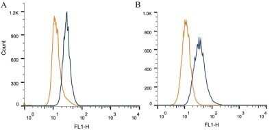 Flow Cytometry: EpCAM/TROP1 Antibody (AUA1) - Azide and BSA Free [NBP2-80721]