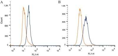 Flow Cytometry: EpCAM/TROP1 Antibody (AUA1) - BSA Free [NB600-1182]