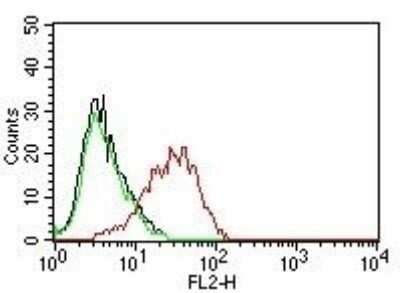 Flow Cytometry: EpCAM/TROP1 Antibody (EGP40/837) - (ECD) - Azide and BSA Free [NBP2-47877]