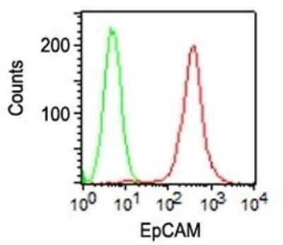 Flow Cytometry: EpCAM/TROP1 Antibody (SPM134) - (ECD) - Azide and BSA Free [NBP2-34398]