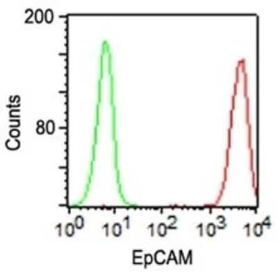 Flow Cytometry: EpCAM/TROP1 Antibody (VU-1D9) [NBP2-33051]