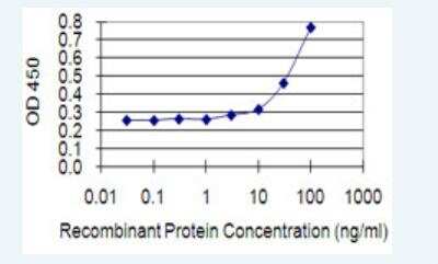 ELISA: EphA1 Antibody (8D4) [H00002041-M14-100ug]