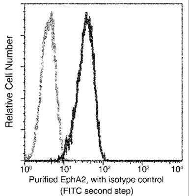 Flow Cytometry: EphA2 Antibody (101) [NBP2-90649]