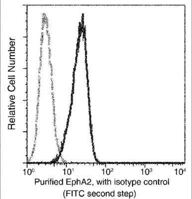 Flow Cytometry: EphA2 Antibody (301) [NBP2-90650]