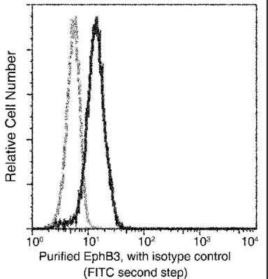 Flow Cytometry: EphB3 Antibody (001) [NBP2-90644]