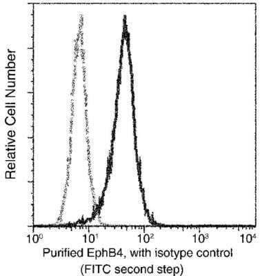 Flow Cytometry: EphB4 Antibody (001) [NBP2-89352]