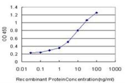 ELISA: EphB6 Antibody (5D8) [H00002051-M03]