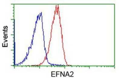 Flow Cytometry: Ephrin-A2 Antibody (OTI3E3) - Azide and BSA Free [NBP2-70622]