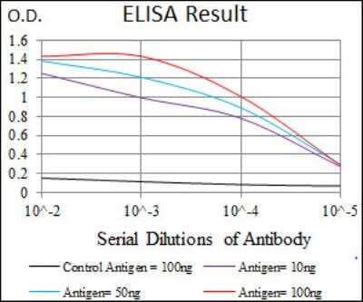ELISA: Epsilon 1 Tubulin Antibody (5F3B7) - BSA Free [NBP2-52578]