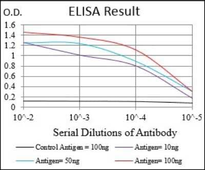 ELISA: Epsilon 1 Tubulin Antibody (7G3B2) - BSA Free [NBP2-37244]