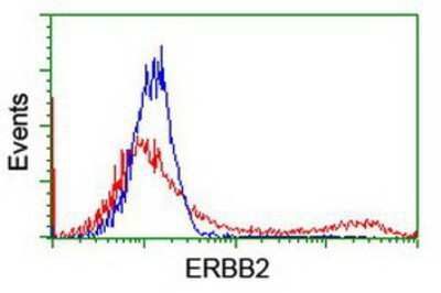 Flow Cytometry: ErbB2/Her2 Antibody (OTI4F10) [NBP2-01152]