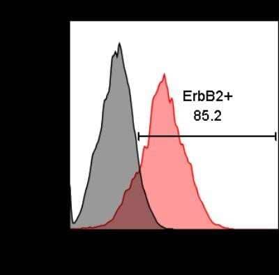 Flow Cytometry: ErbB2/Her2 Antibody (HRB2/258) [NBP2-32862]