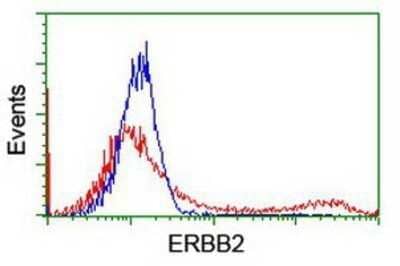 Flow Cytometry: ErbB2/Her2 Antibody (OTI4F10) - Azide and BSA Free [NBP2-70653]